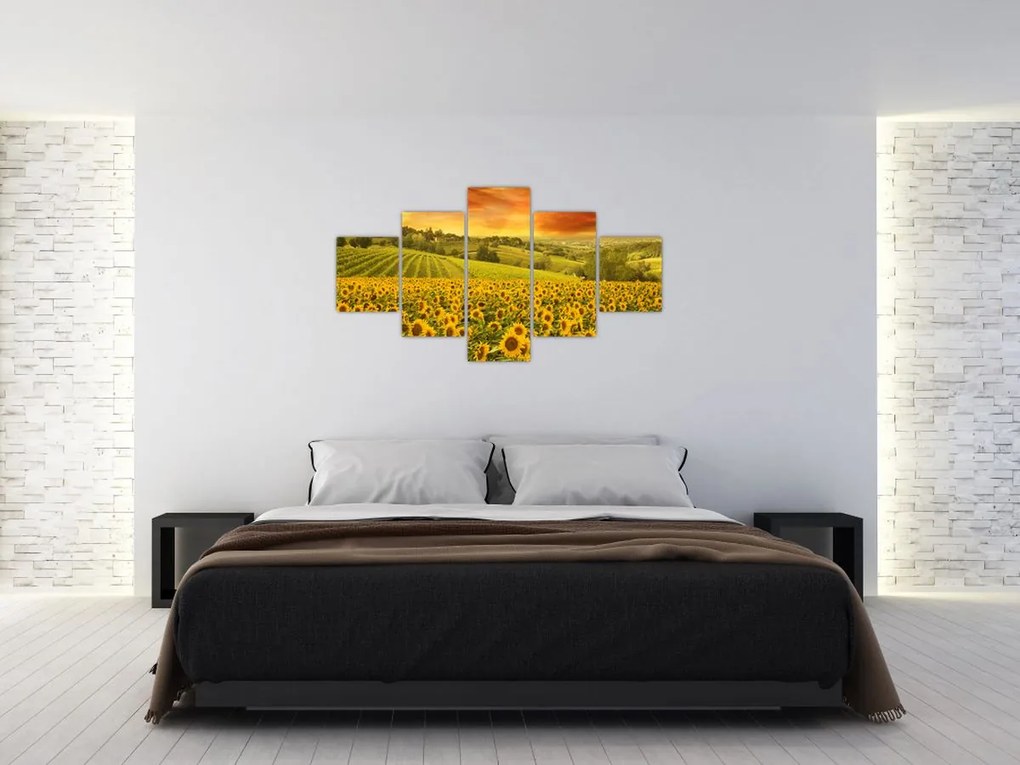 Obraz - Pole słoneczników (125x70 cm)