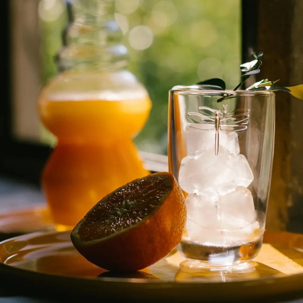 Szklanka La Rochère Libellules, 350 ml