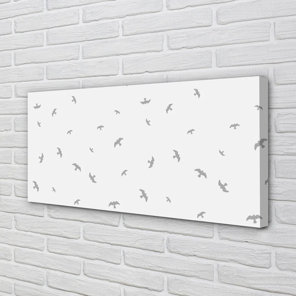 Obraz na płótnie Subtelne Szare Ptaki