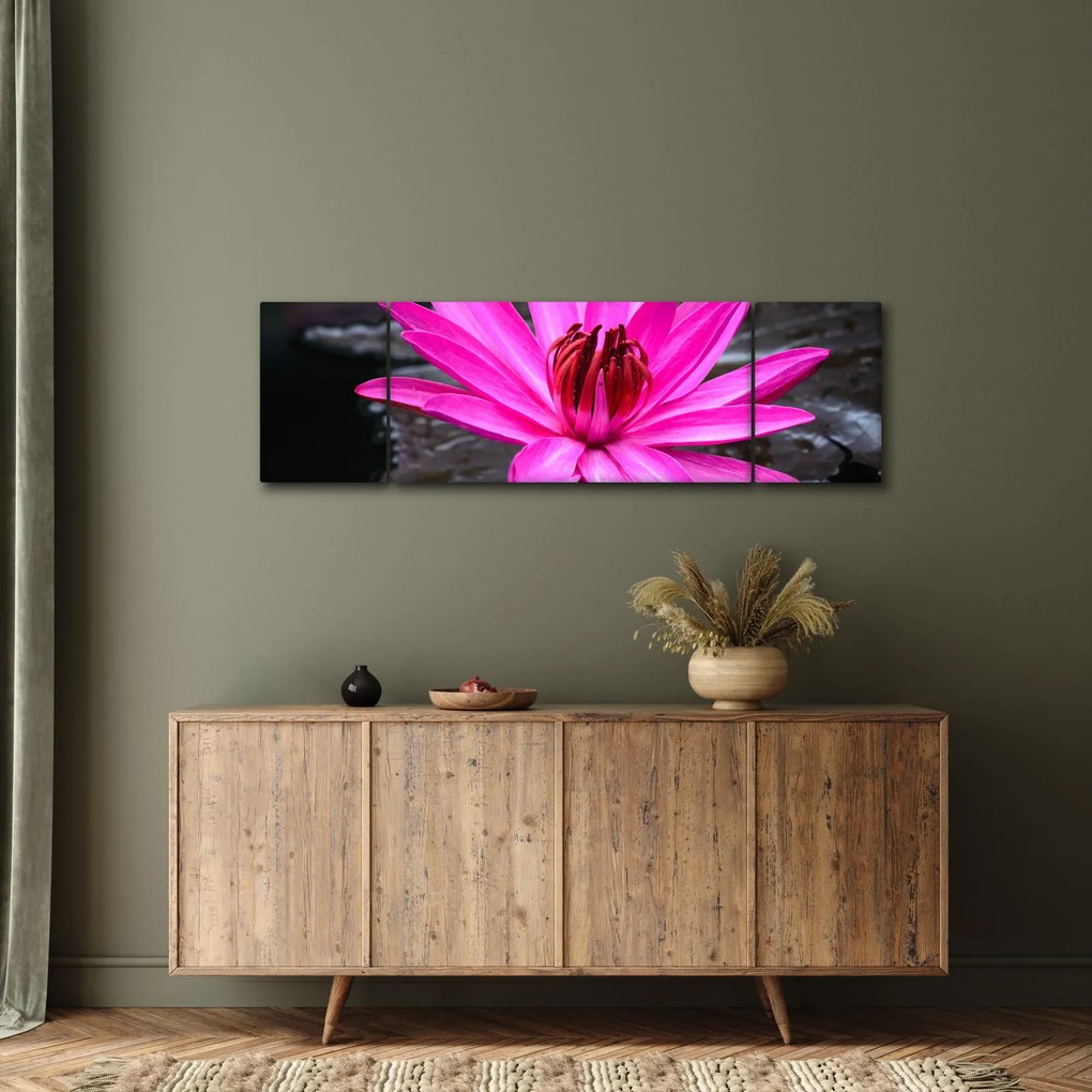 Obraz - różowy kwiat (170x50 cm)