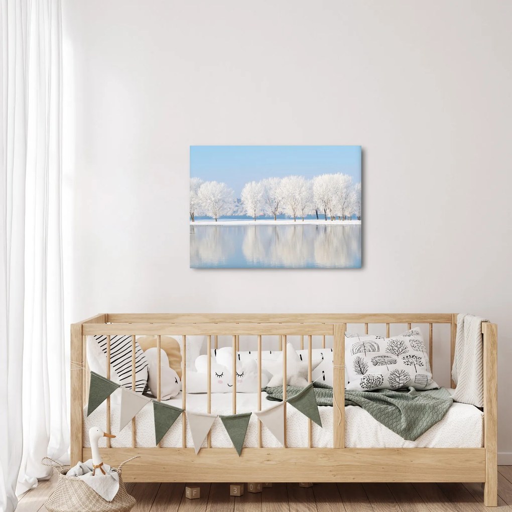 Obraz zimowego krajobrazu (70x50 cm)