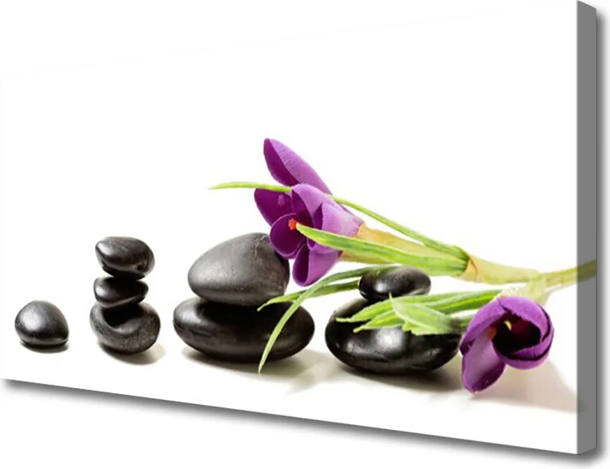 Obraz canvas Pierwsze Krokusy w Akwareli