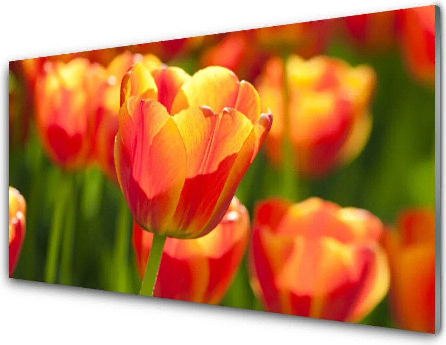 Panel Szklany Barwna Łąka Tulipanowa