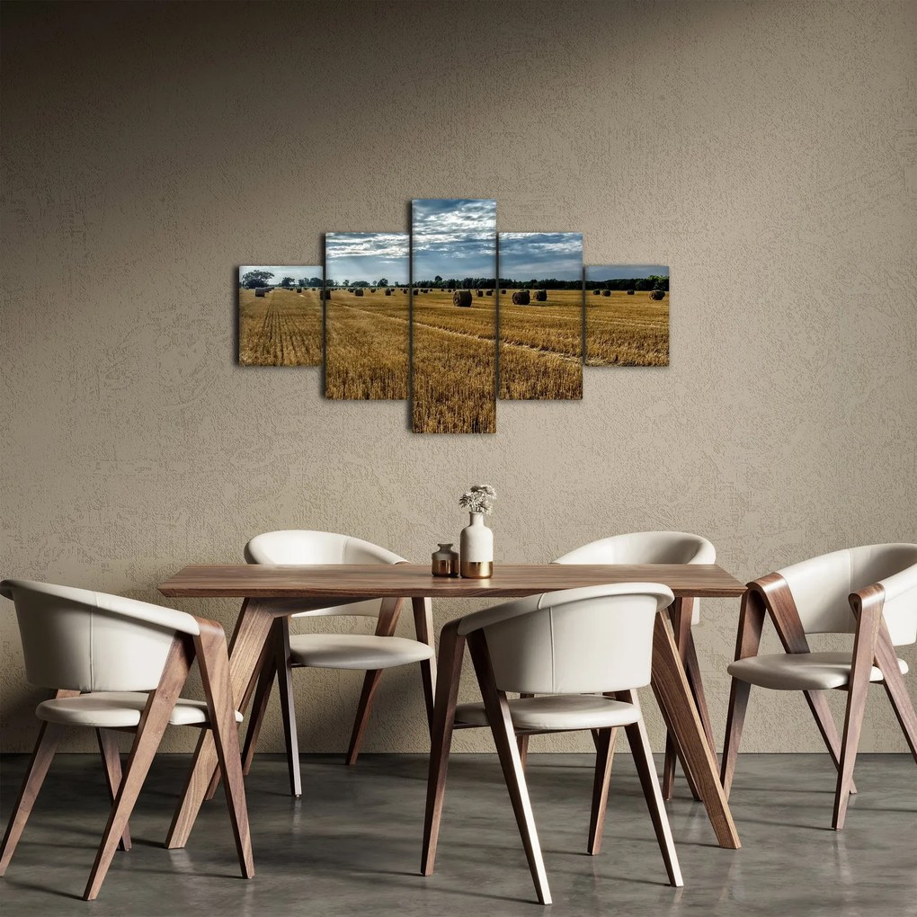 Obraz zebranego pola zboża (125x70 cm)
