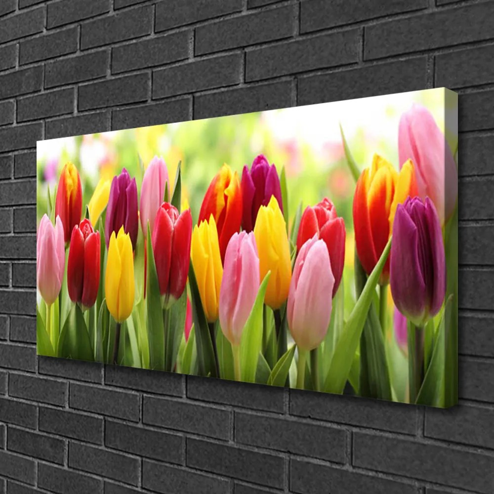 Obraz Canvas Tulipany Kwiaty Natura