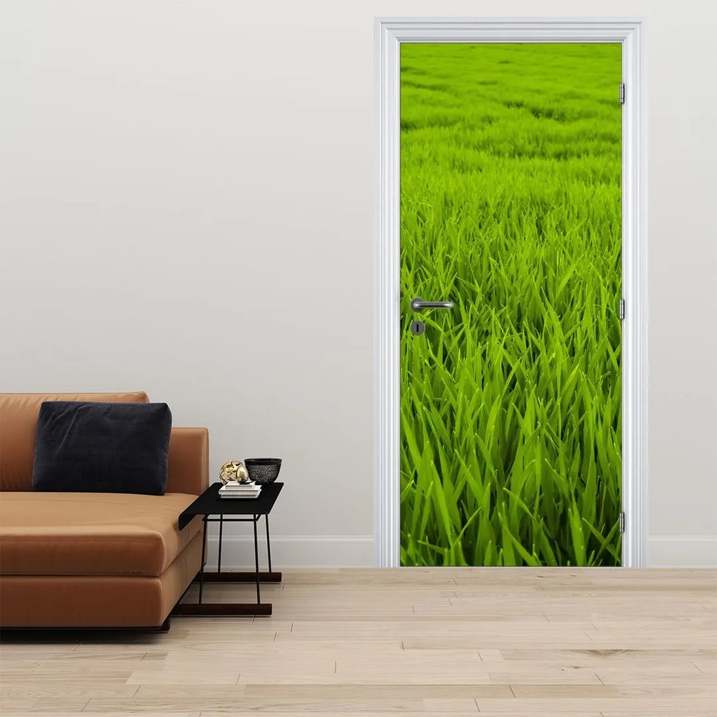 Fototapeta na drzwi - Trawa (95x205cm)