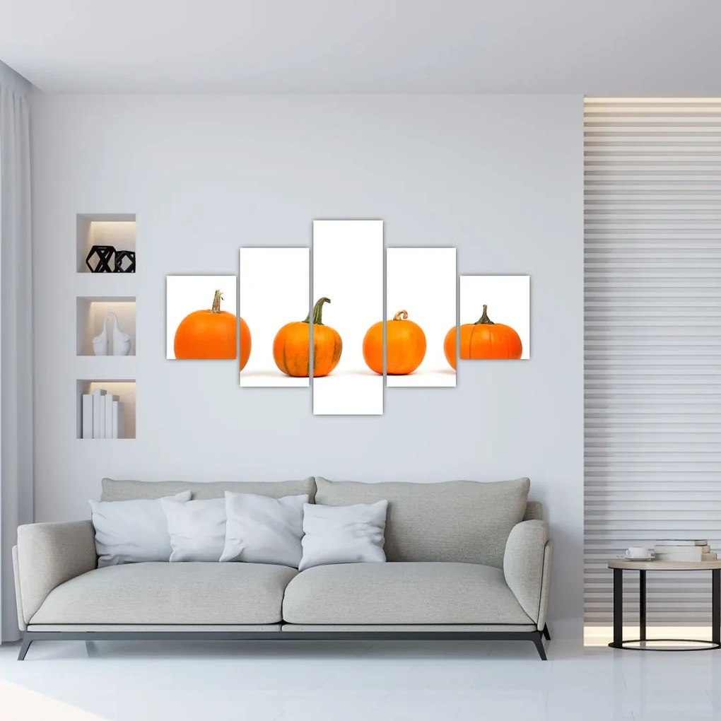 Obraz dyni (125x70 cm)