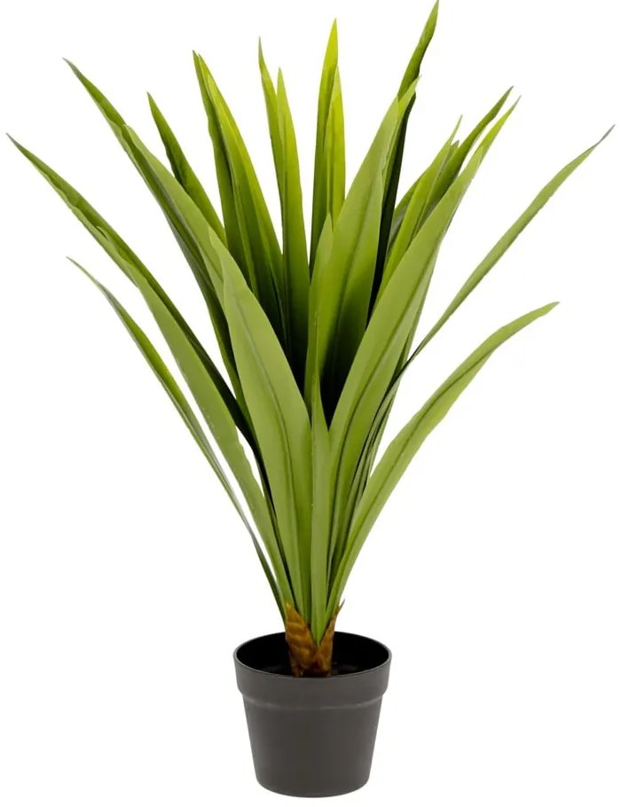 Sztuczna roślina (wysokość 80 cm) Yucca – Kave Home