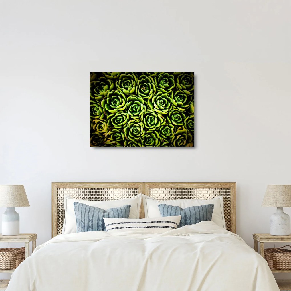 Obraz na szkle bez grzywki (70x50 cm)