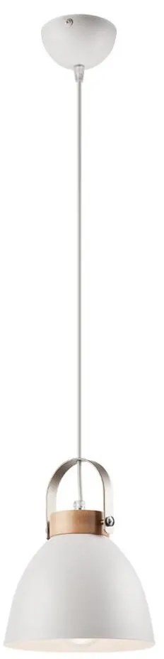 Lampa wisząca DANIELLE 1xE27/60W/230V na linku