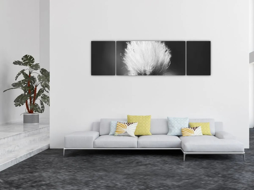 Obraz - Czarno-biała trawa bawełniana (170x50 cm)