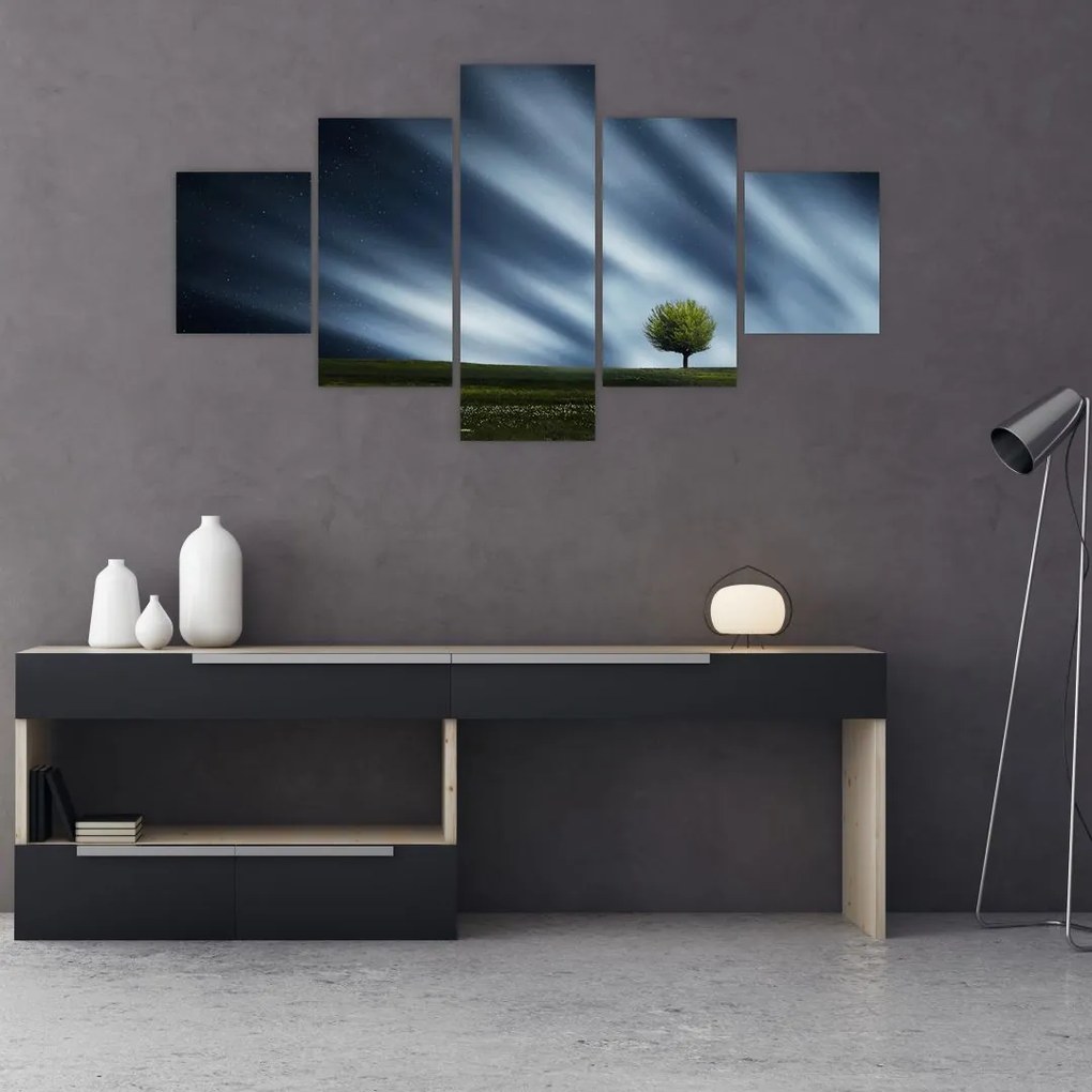 Obraz zorzy polarnej nad wrzosowiskami (125x70 cm)
