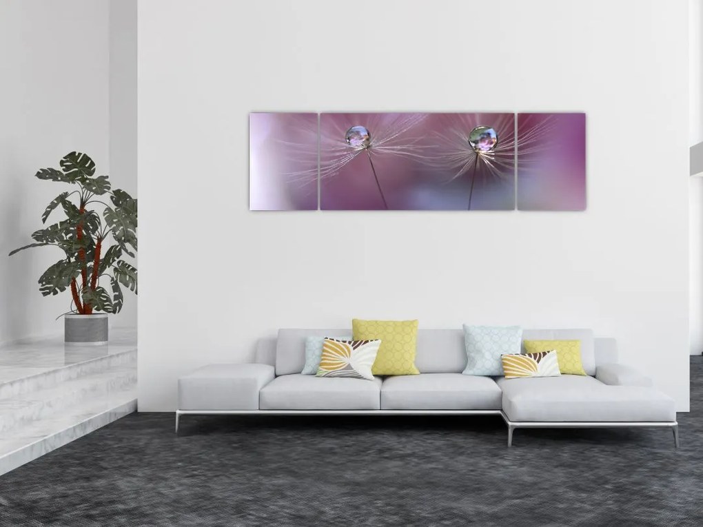 Obraz kropelek na puchu (170x50 cm)