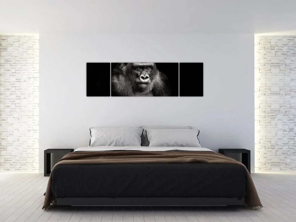 Obraz - Goryl (170x50 cm)