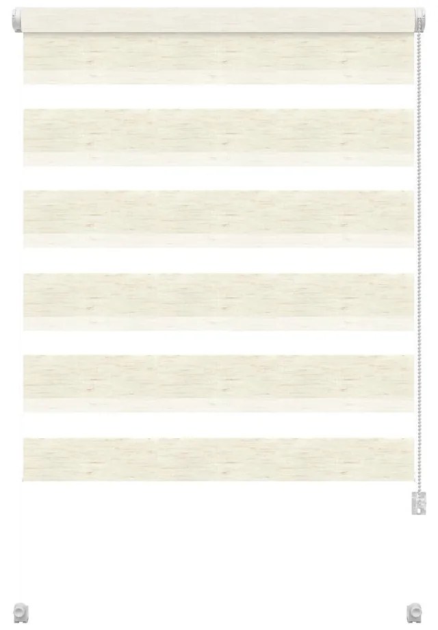 Roleta dzień i noc w naturalnym kolorze 97x150 cm Zebra Silvalin – Gardinia