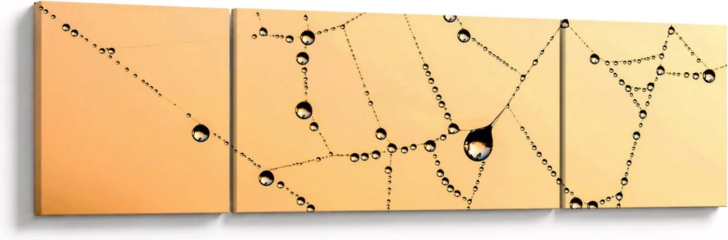 Obraz zroszonej pajęczyny (170x50 cm)
