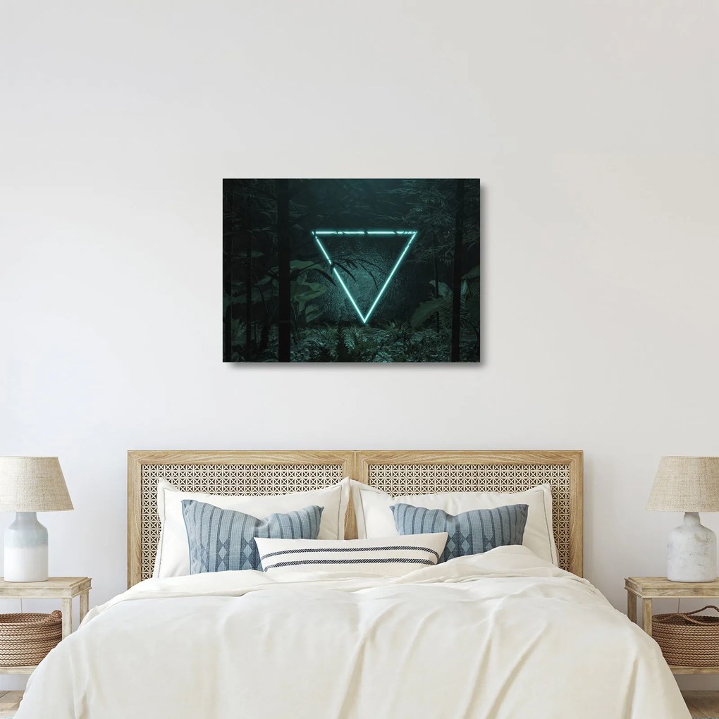 Obraz na szkle - Neonowy trójkąt w dżungli (70x50 cm)