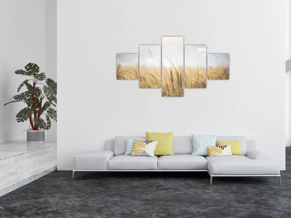 Obraz ziarna (125x70 cm)