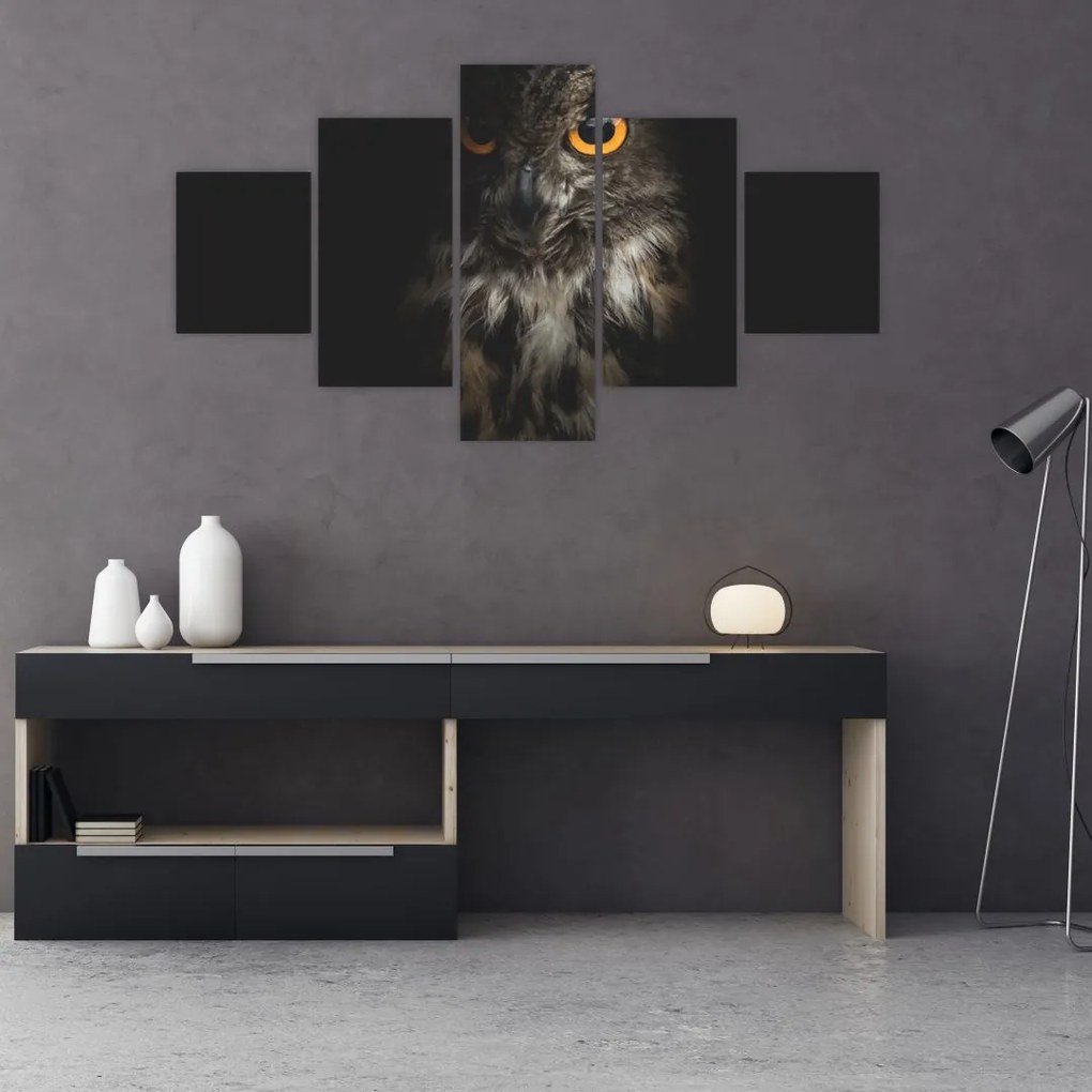 Obraz sowy (125x70 cm)