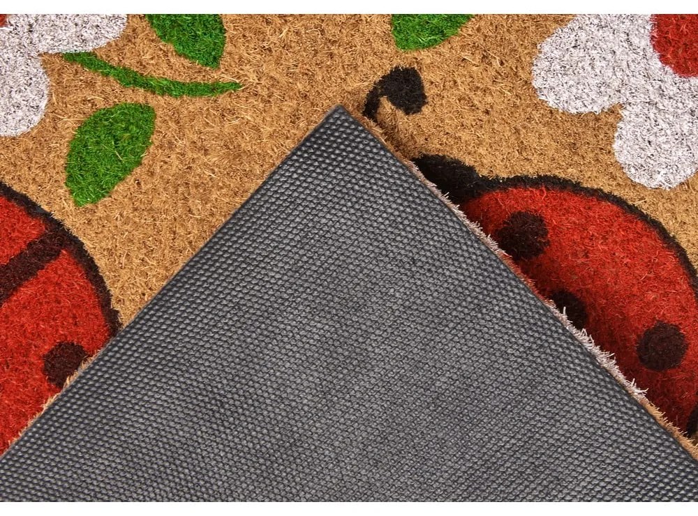 Wycieraczka z włókna kokosowego 75x45 cm Lady Beetle – Hanse Home