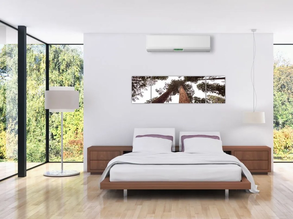 Obraz - Widok przez korony drzew (170x50 cm)