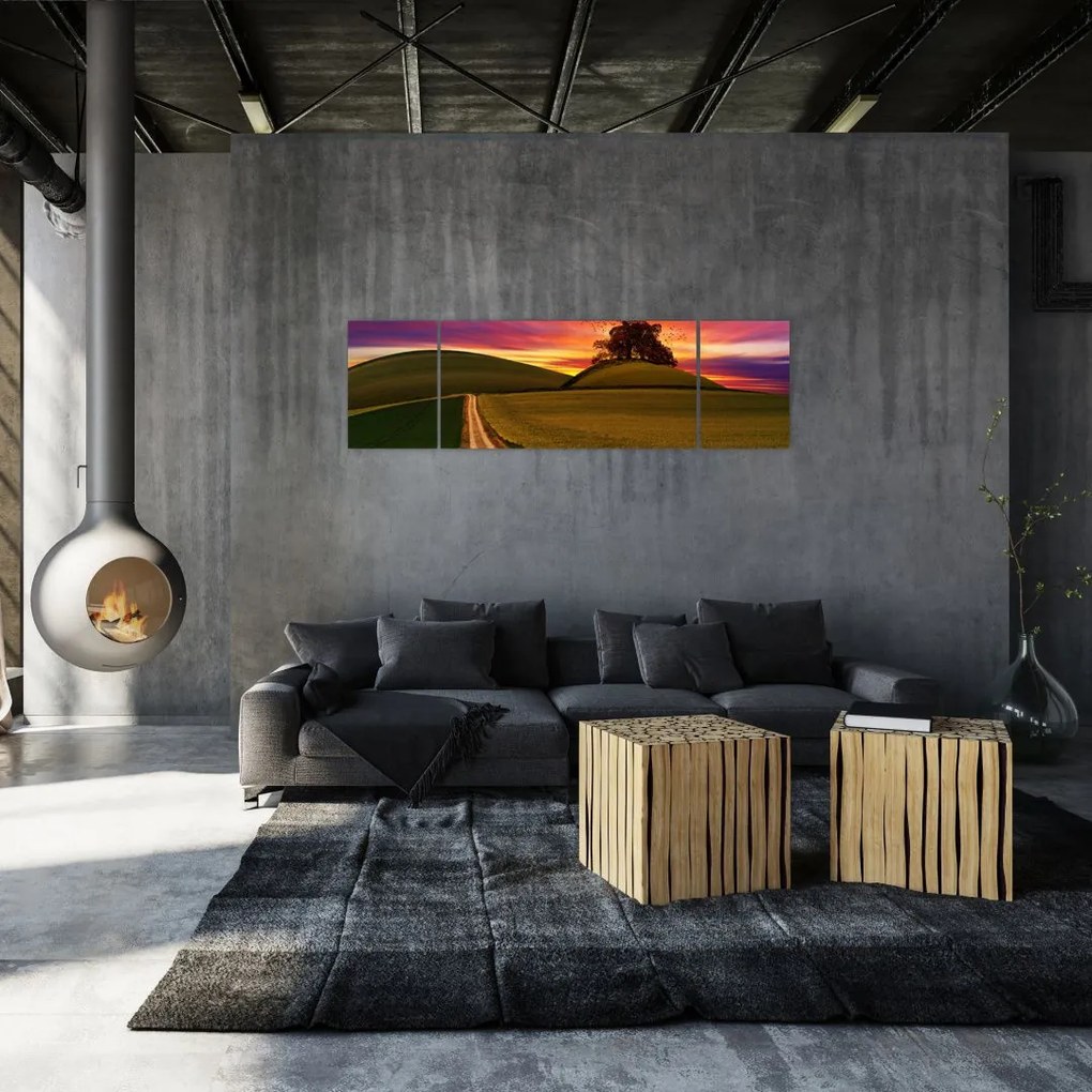 Obraz pola i kolorowego nieba (170x50 cm)