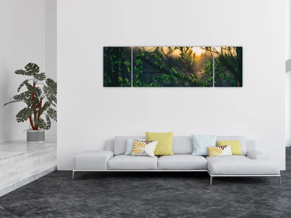 Obraz słońca przeświecającego przez gałęzie drzew (170x50 cm)