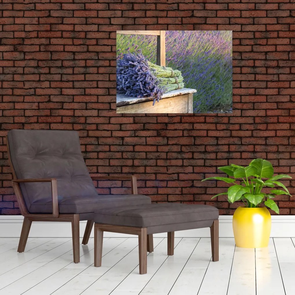 Obraz - Pęczki lawendy (70x50 cm)