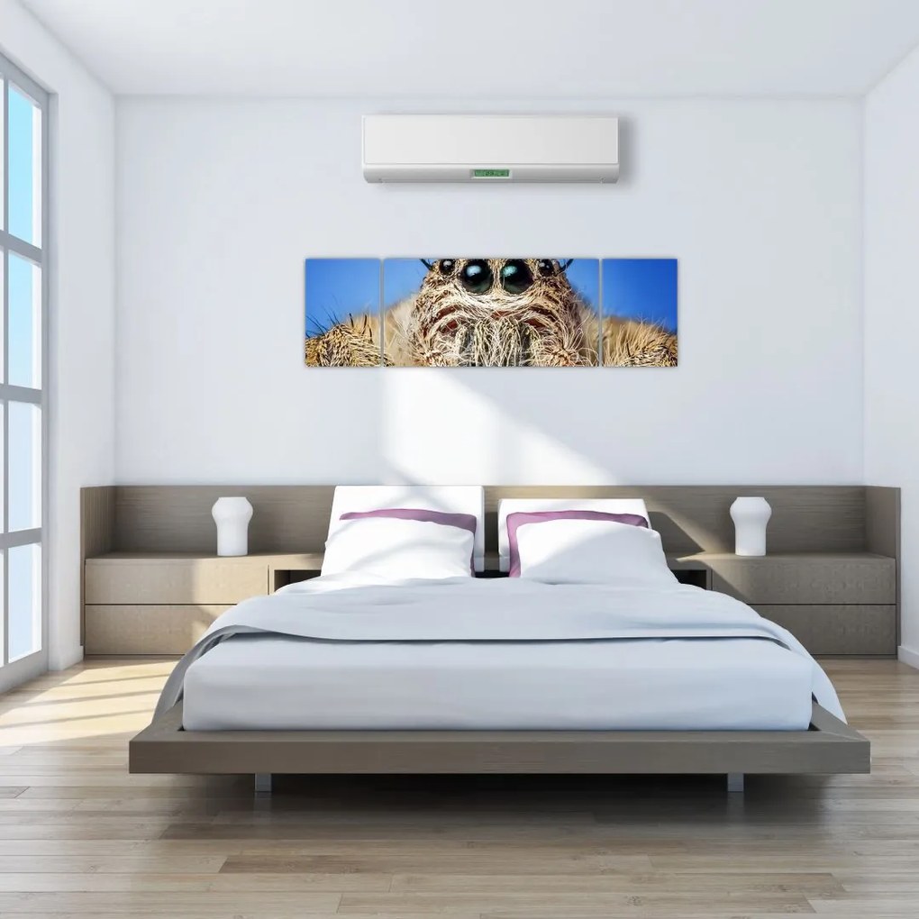 Obraz szczegółu pająka (170x50 cm)