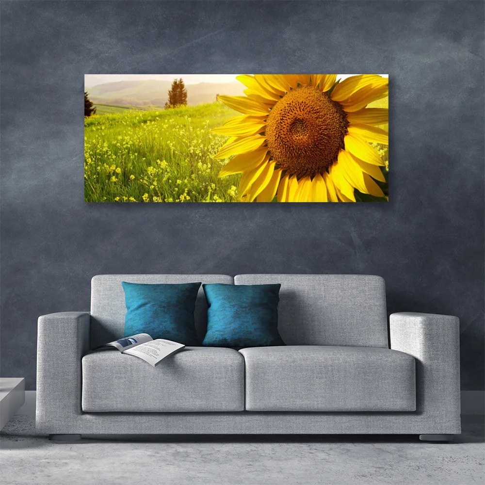 Obraz canvas na ścianę Złoty Słonecznik w Słońcu