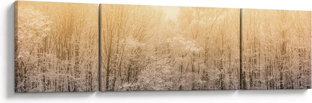 Obraz mroźnego lasu (170x50 cm)