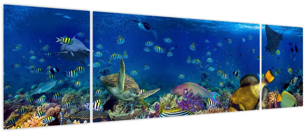 Obraz - Ocean (170x50 cm)