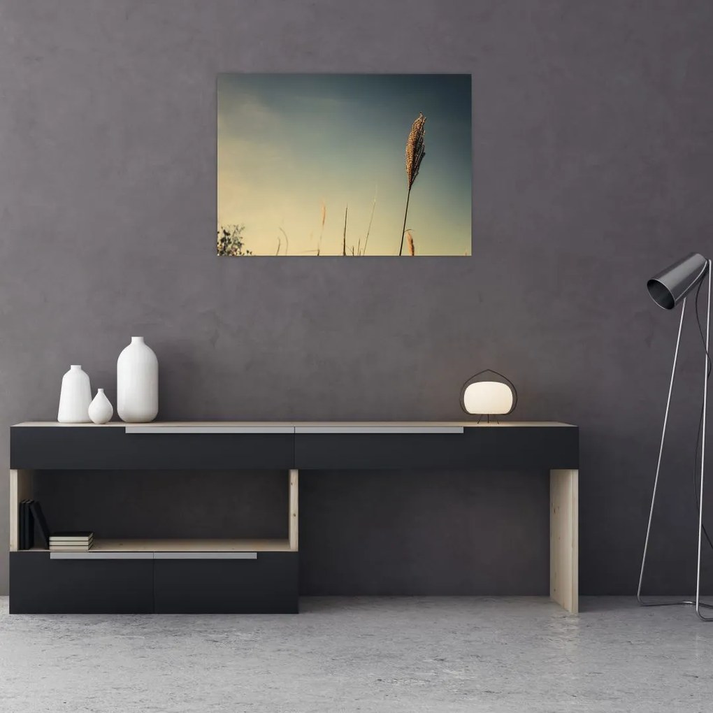 Obraz z trawą (70x50 cm)