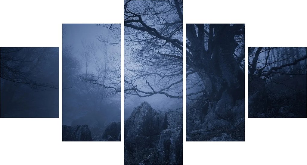Obraz ciemnego lasu (125x70 cm)