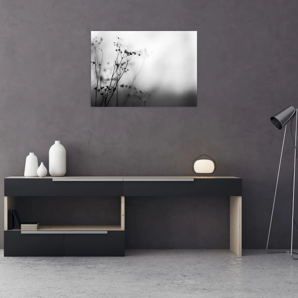 Obraz na szkle - Detal kwiatów polnych (70x50 cm)