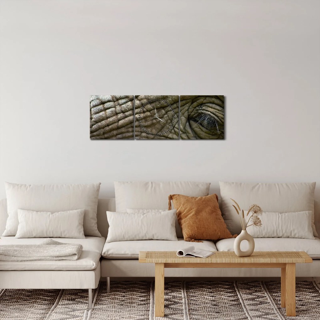 Obraz - Zbliżenie na stare oko słonia (z zegarem) (90x30 cm)
