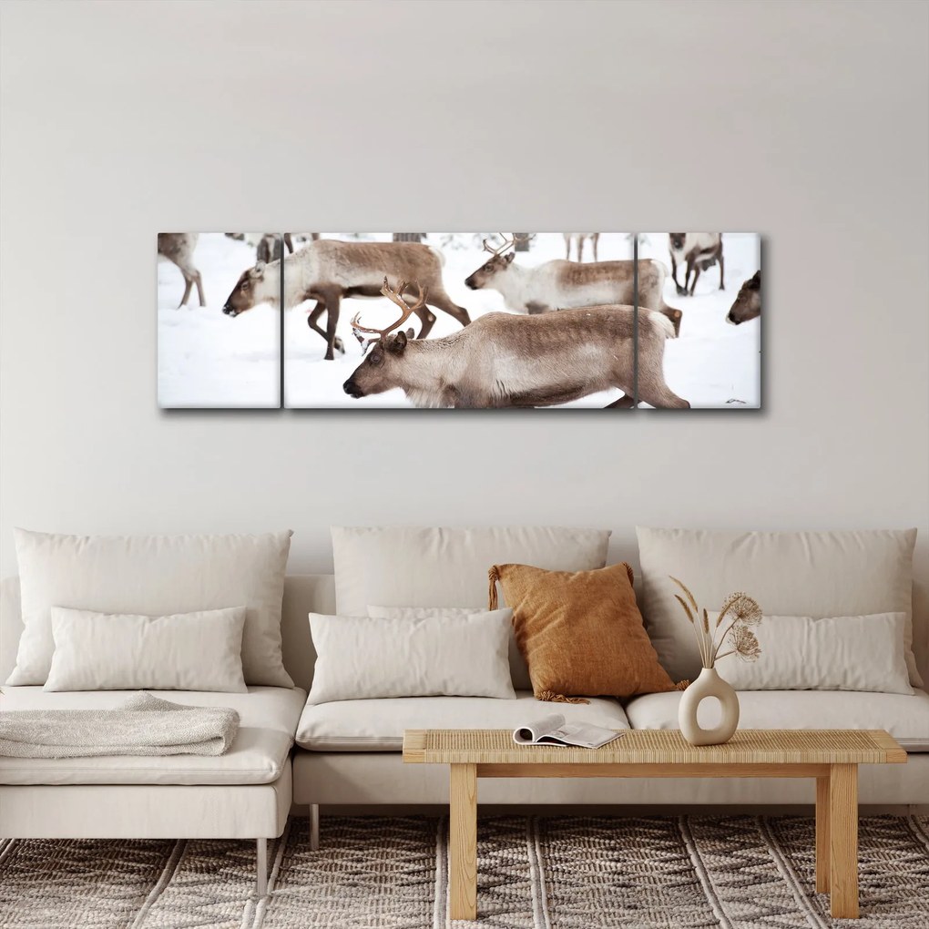 Obraz - Renifer (170x50 cm)