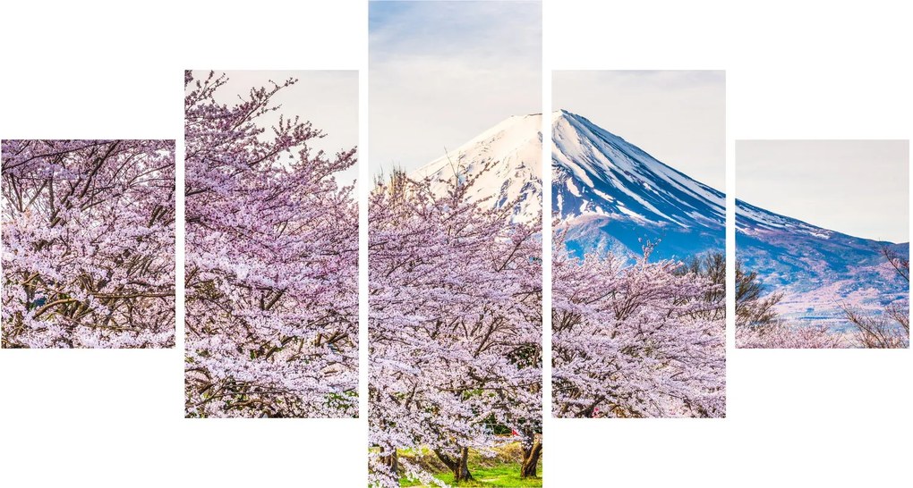Obraz - Japonia wiosną (125x70 cm)