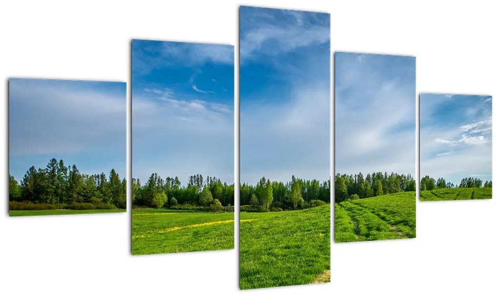 Obraz łąki (125x70 cm)
