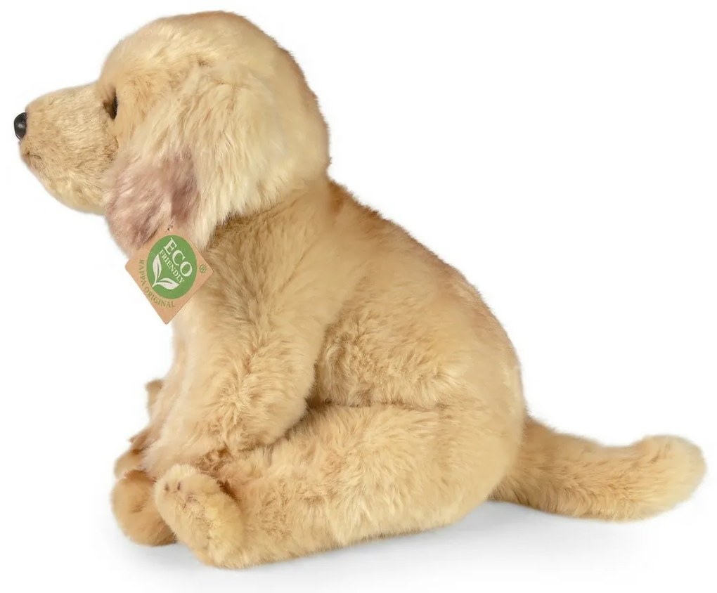 Rappa Pluszowy labrador siedzący, 27 cm ECO-FRIENDLY