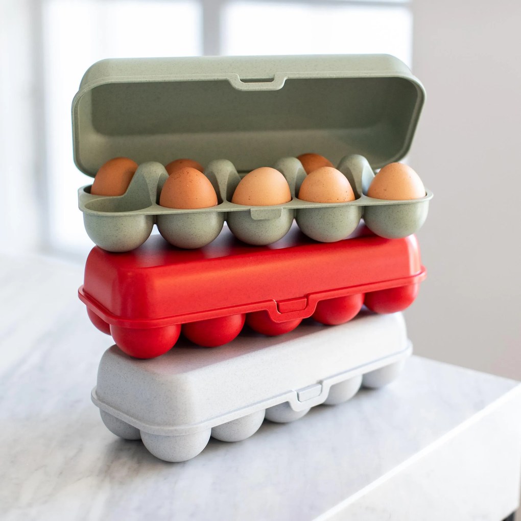 Pojemnik na jajka EGGS TO GO, na 10 jajek, KOZIOL