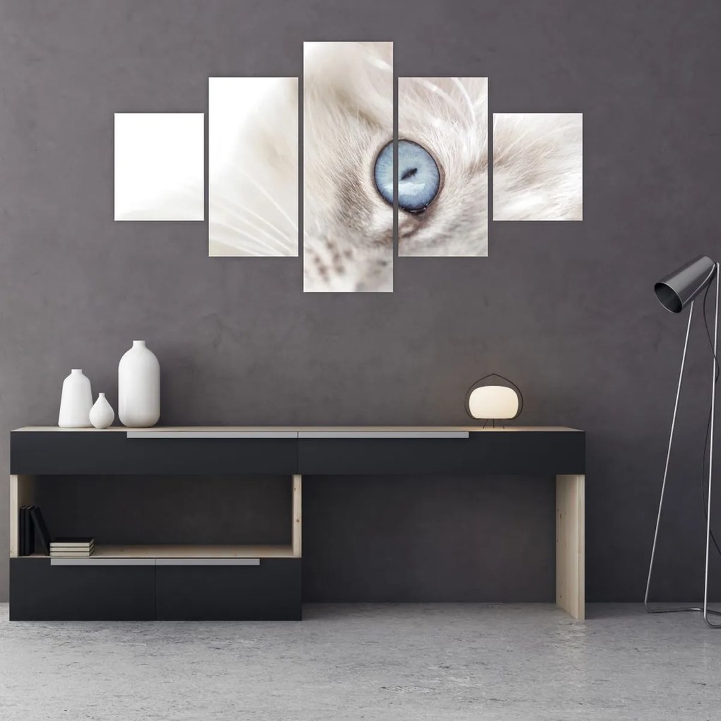 Obraz - Kot z niebieskimi oczami (125x70 cm)