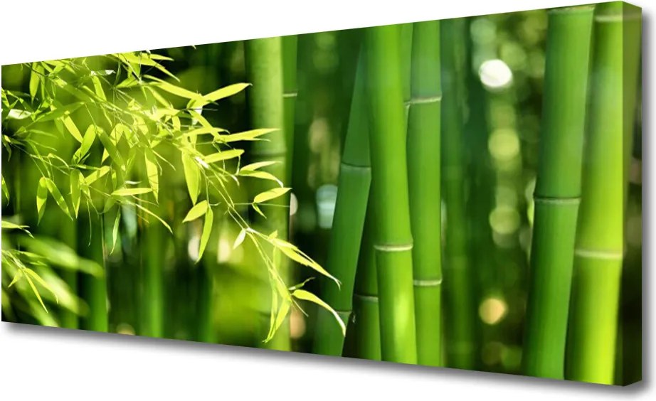 Obraz canvas Botaniczny Motyw Bambusa