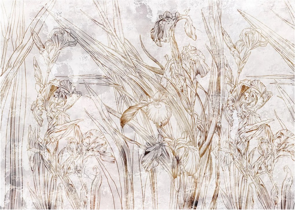 Obraz na szkle - Irysy (70x50 cm)