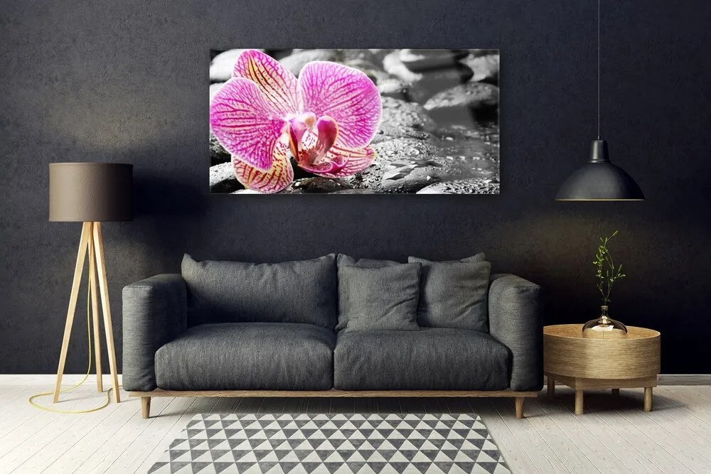 Obraz Akrylowy Kwiat Kamienie Orchidea