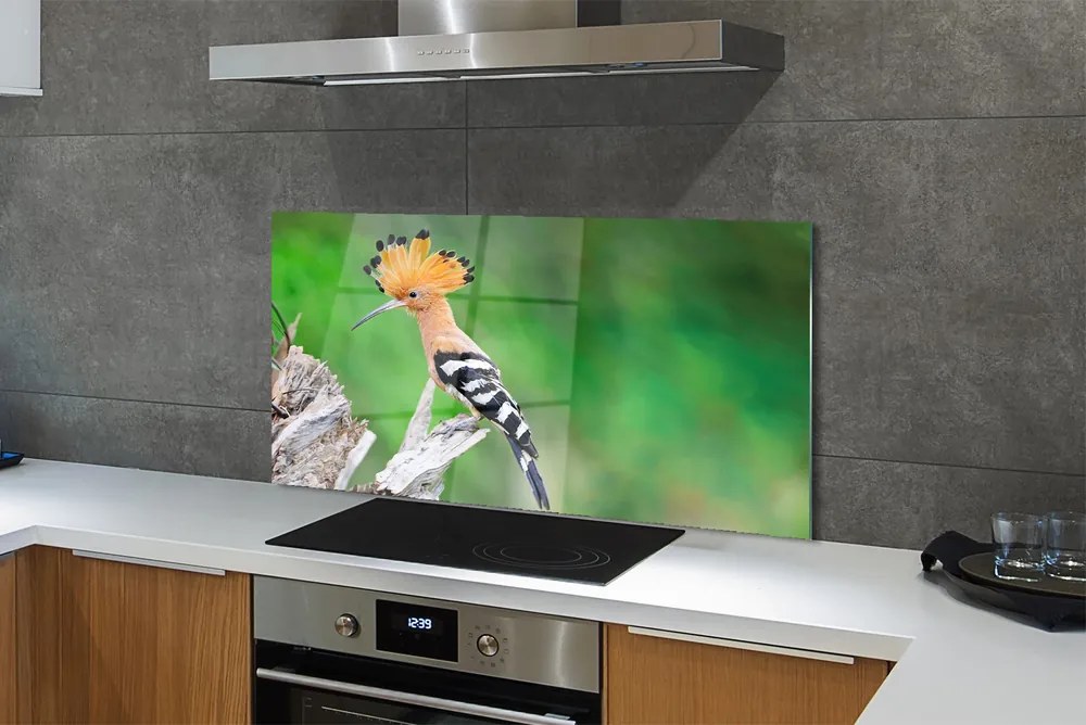 Panel szklany do Kuchni Papuga w Sercu Dżungli