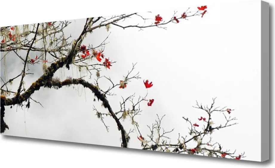 Obraz na płótnie Kwitnąca Gałązka Natury