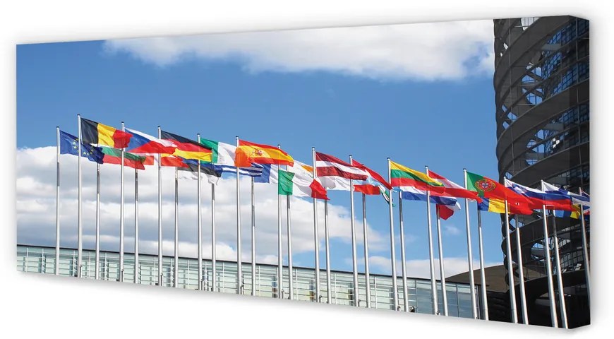 Duży obraz na płótnie Kilka Flag