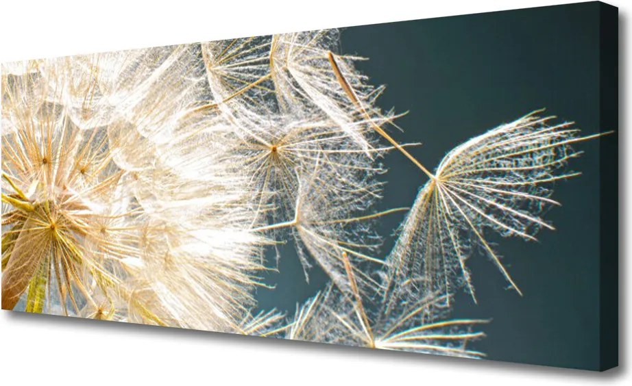 Obraz canvas Lekkość Mniszka Lekarskiego