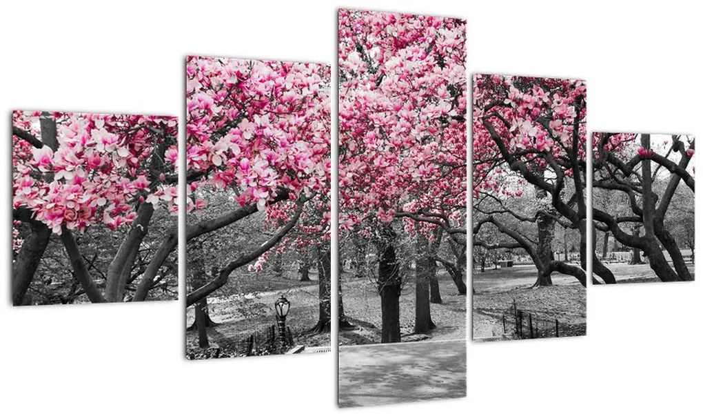 Obraz drzew magnolii (125x70 cm)